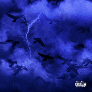 仙踪林呦性XXX免费看
